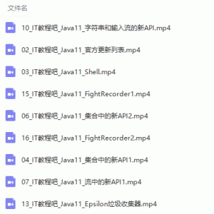 最新Java11新特性完整视频教程/大小：478M