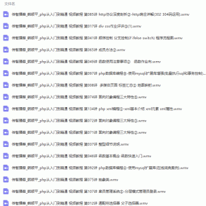 PHP全套精讲视频教程/大小：10.24G