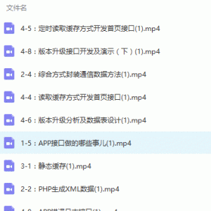 PHP高级应用开发APP接口视频教程/大小：1.25G