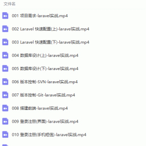 Laravel实战项目开发网上商城全程实录视频教程/大小：1.67G