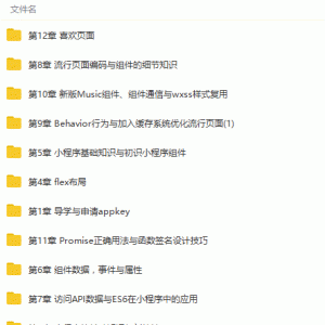 微信小程序零基础入门到项目实战视频教程/大小：10.65G