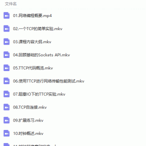 零基础入门Linux网络编程到案例实战视频教程/大小：11.25G