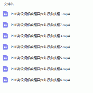 PHP高级视频教程异步并行多线程/大小：1.07G