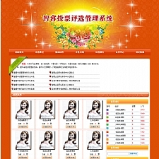 智睿网络投票评选管理系统 v10.9.1