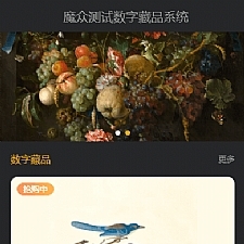 魔众数字藏品系统 v1.1.0