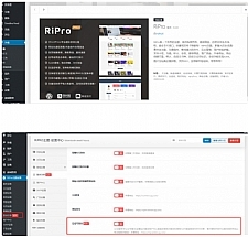 RiPro6.3.8 wordpress主题最新版完整修复去后门和加密文件