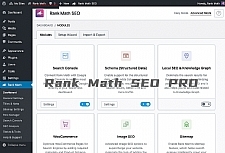 WordPress SEO插件：Rank Math SEO PRO v3.0.1 – 已激活汉化版